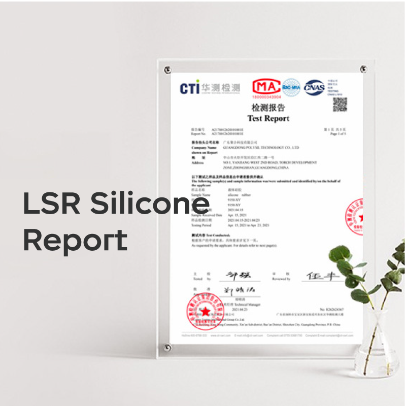 Baby Food & Fruit Feeder Pacifier (S+L)