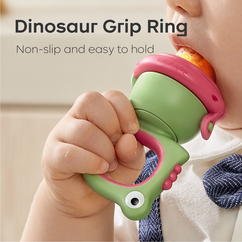 Baby Food & Fruit Feeder Pacifier (S+L)